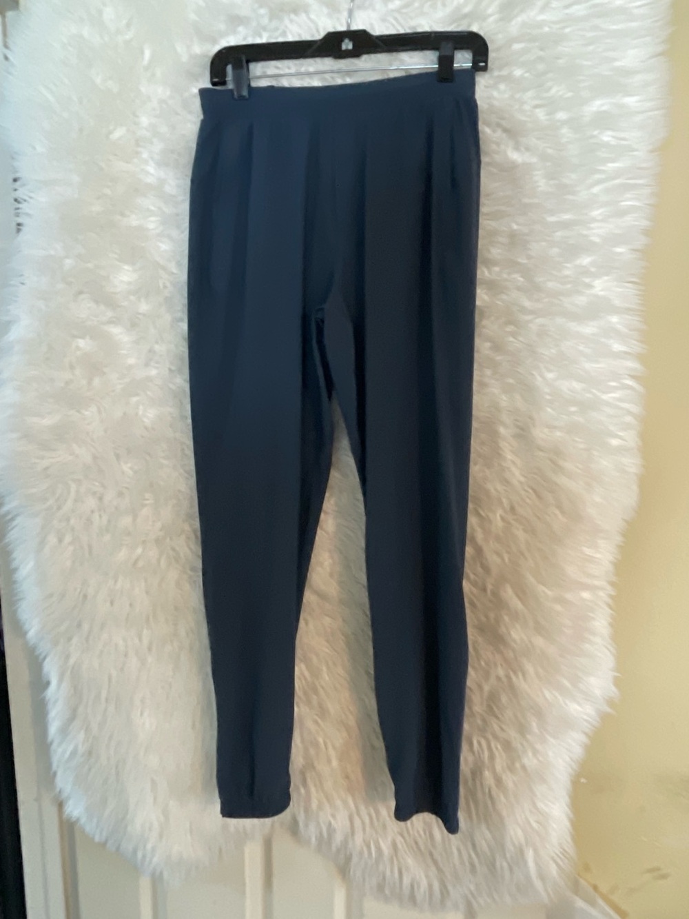 Lululemon Men’s Surge Blue Jogger 29”; Size Small